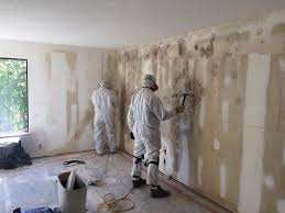 Best Asbestos and Lead Testing During Mold Inspection  in Kenwood, OH